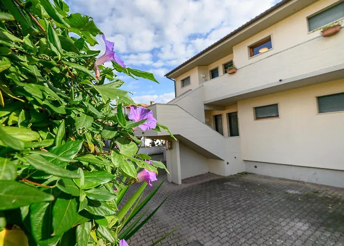 Elbamar Marina Di Campo