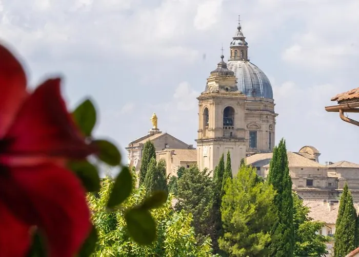 Pet Friendly hotel: Hotel Mom Assisi