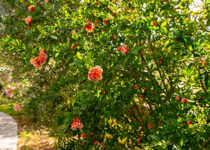 Marcelli Mare Camere Nel Conero
