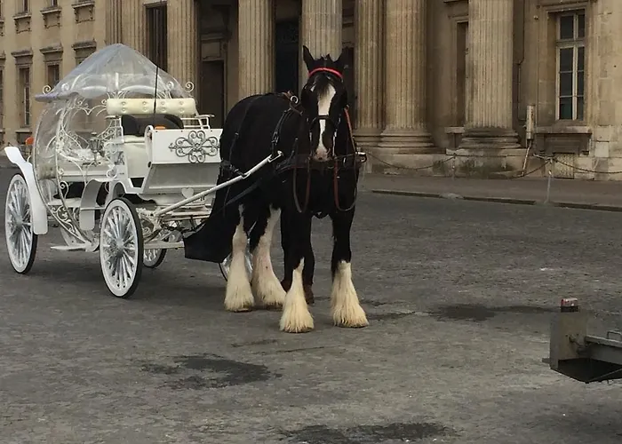 Apart hotel: Residence Champ De Mars