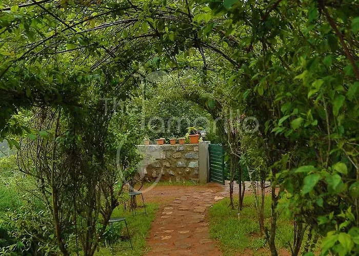 Family Hotel: The Tamarillo