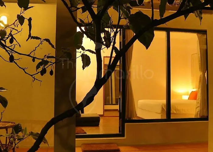 Family Hotel: The Tamarillo