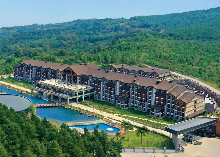 Ping Pong hotel: Elite World Grand Sapanca