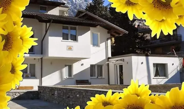  Il Girasole