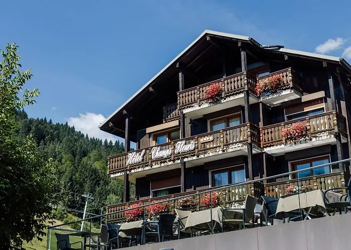 Pet Friendly hotel: Hotel Champs Fleuris Morzine