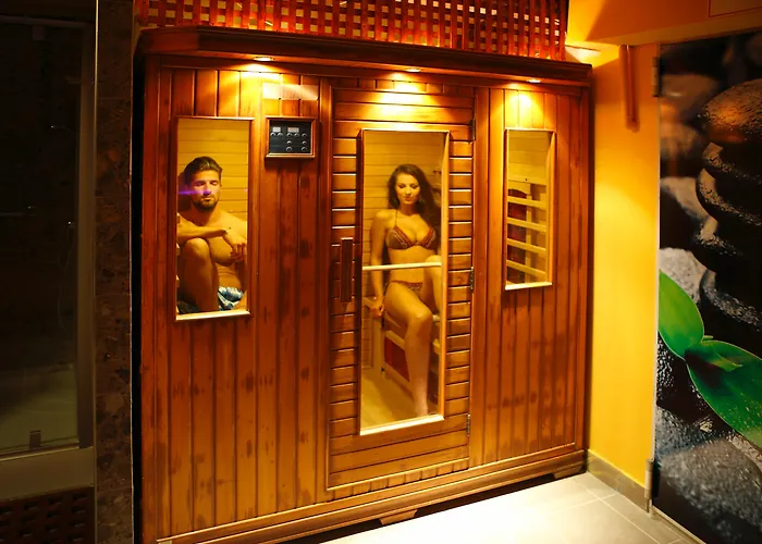 Hôtel accueillant les animaux: Six Inn Hotel Budapest