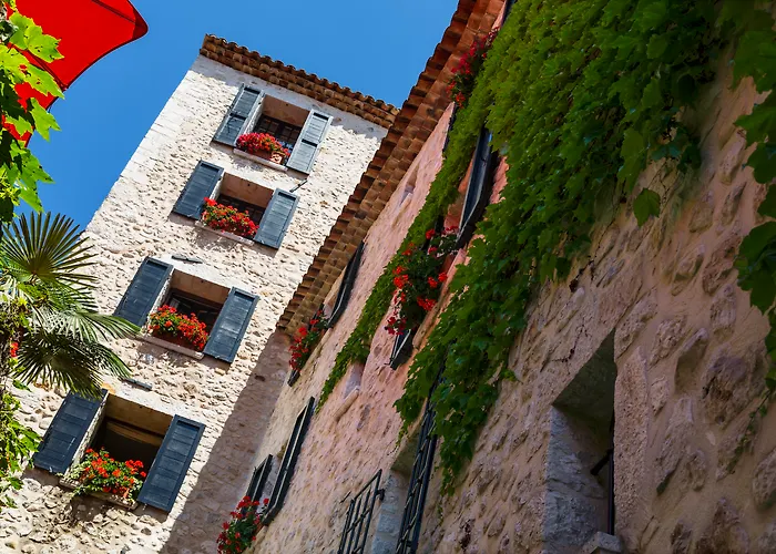 Haustierfreundliches Hotel: Hotel Le Saint Paul