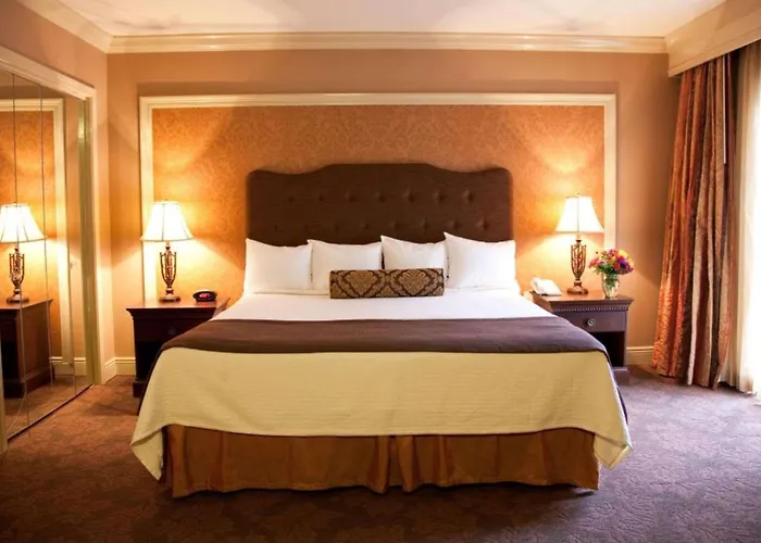 Pet Friendly hotel: Best Western Plus French Quarter Courtyard Hotel