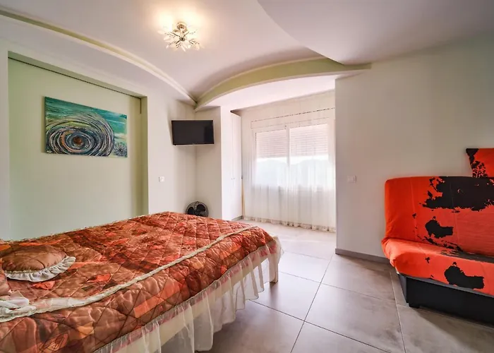 Perros hoteles Elena
