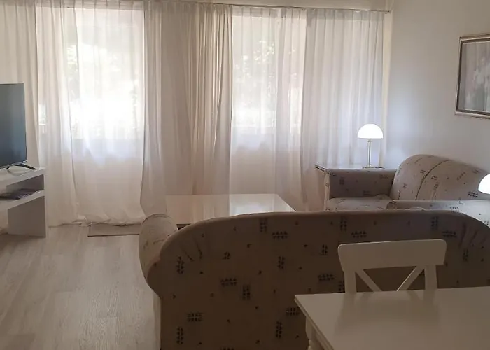 Beautiful Inner City Fully Renovated Ground Floor With Attached Lock-Up Garage