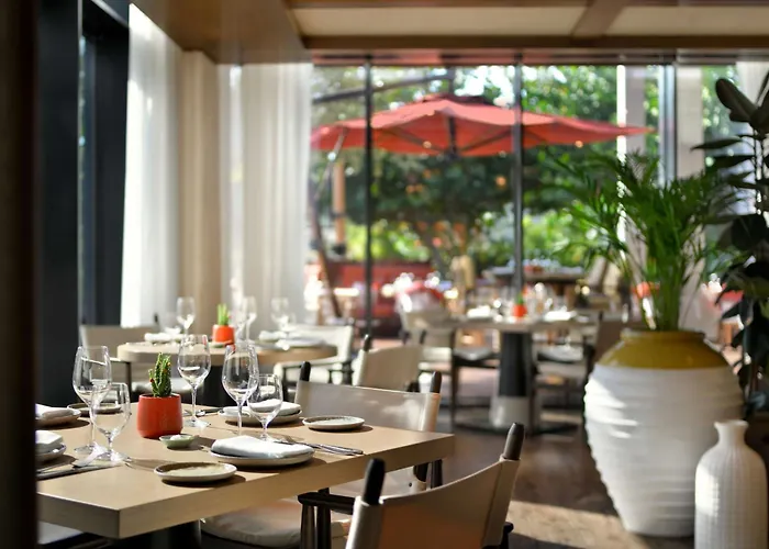 Banyan Tree At Bluewaters