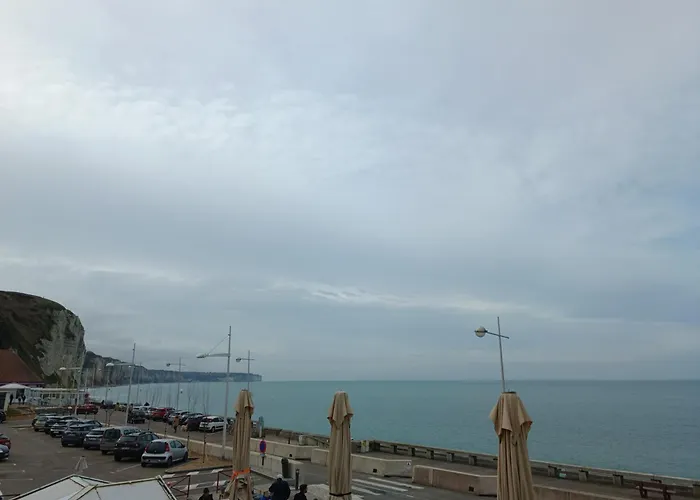 Hôtel accueillant les animaux: New Hotel De La Mer