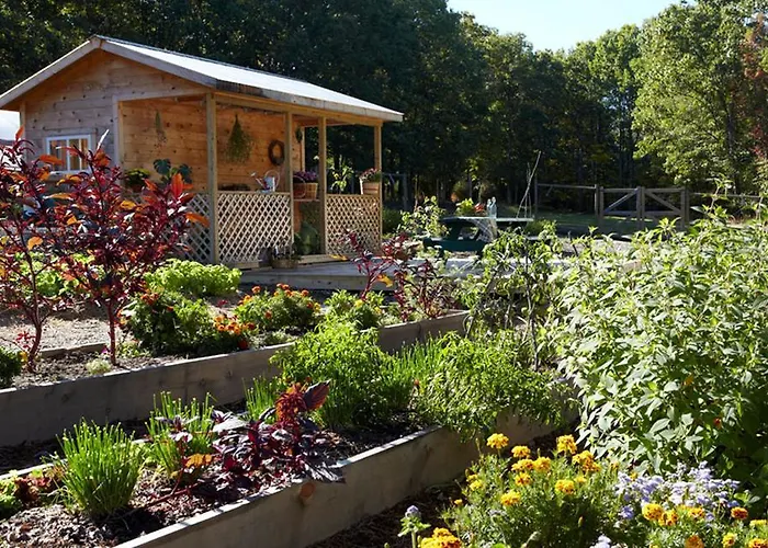 Hotel: The Lodge At Woodloch