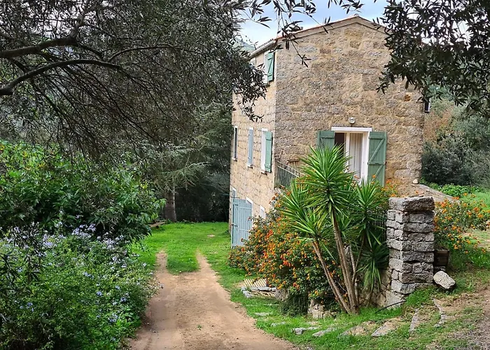 Maison De Caractere Avec Piscine