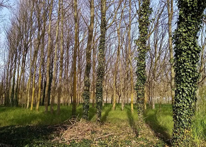 Casa vacanze: B&B Marana 14 Casa di Campagna