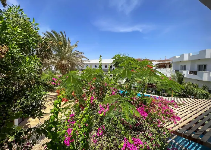 Club Red Dahab Motel