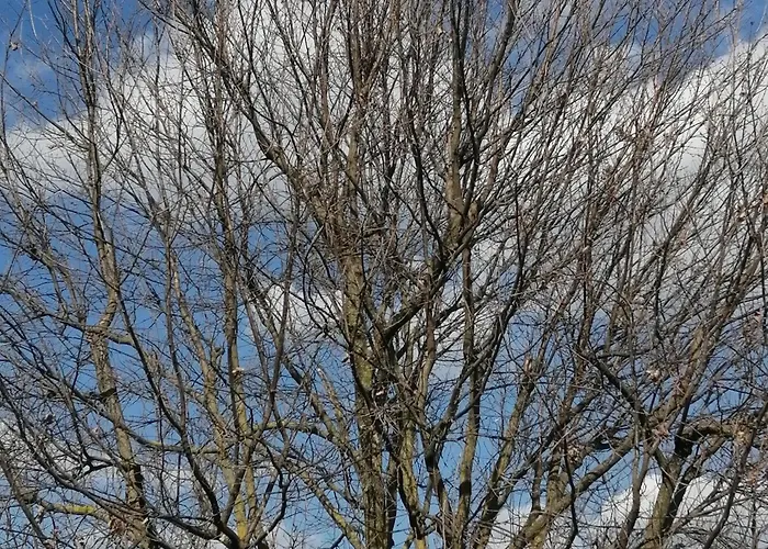 Casa vacanze: B&B Marana 14 Casa di Campagna