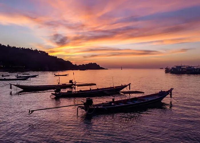 Hôtel accueillant les animaux: Sunrise Koh Tao