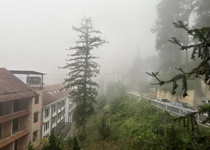 Cheap hotel: Sapa Elite Hotel