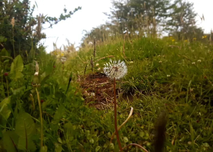 Hotel per sciatori: Hotel Tierra Del Fuego
