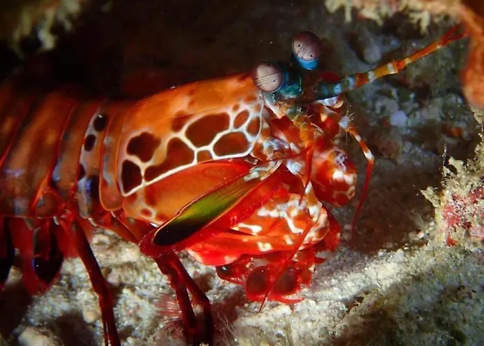 Aivymaes Divers Resort