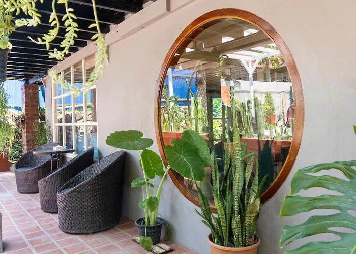 Haustierfreundliches Hotel: La Casa De Jardin