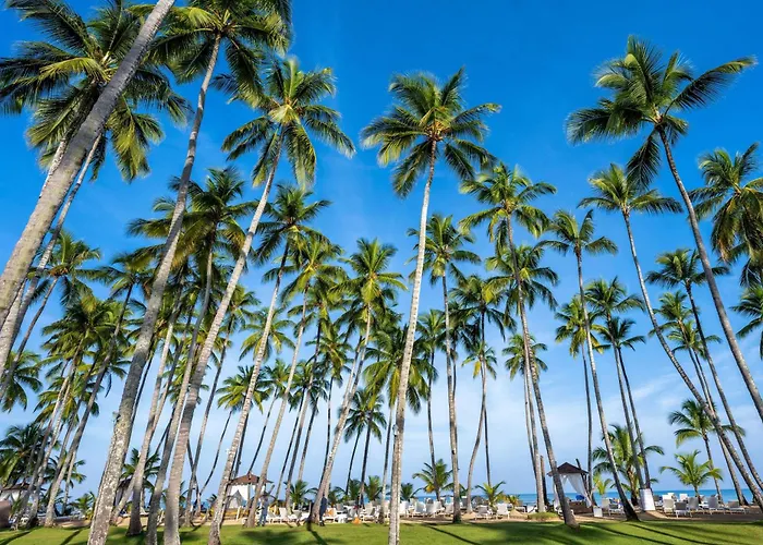 Luxushotel: Viva V Samana By Wyndham, A Trademark Adults All Inclusive