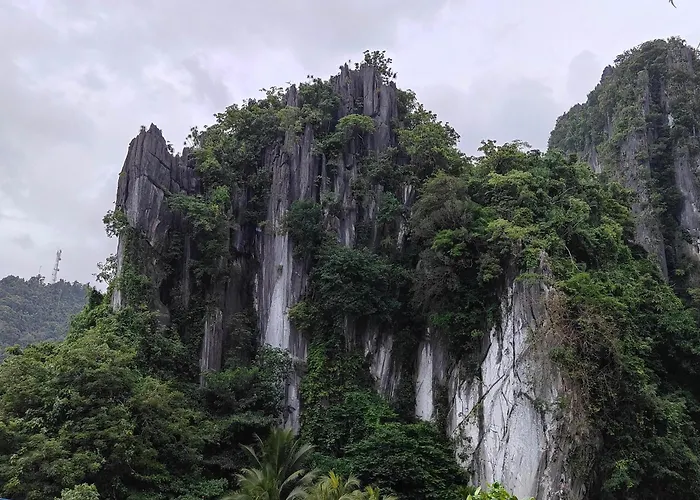Alocasia Inn - El Nido