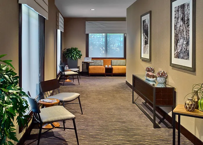 Luxury hotel only: Hilton Garden Inn Gatlinburg
