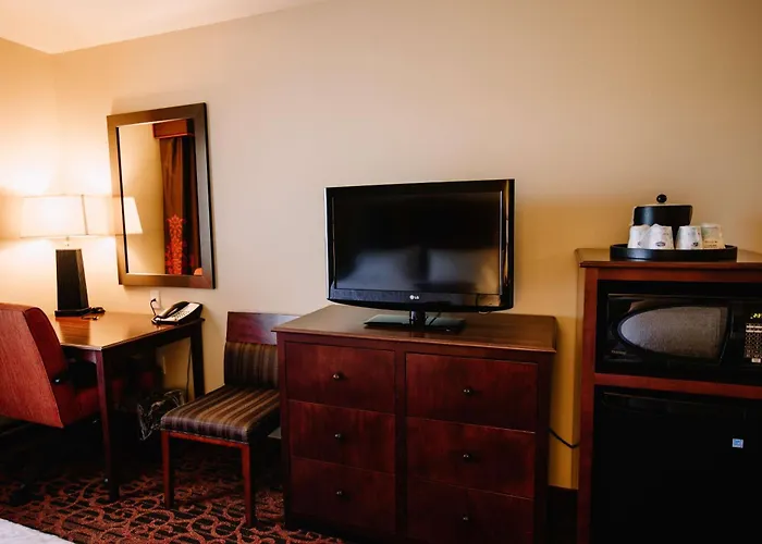 Pet Friendly hotel: Hampton Inn & Suites Minot