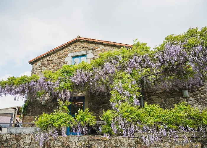 Casa De Amancio