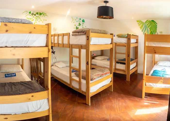 Albergue: Rainbow Hostel
