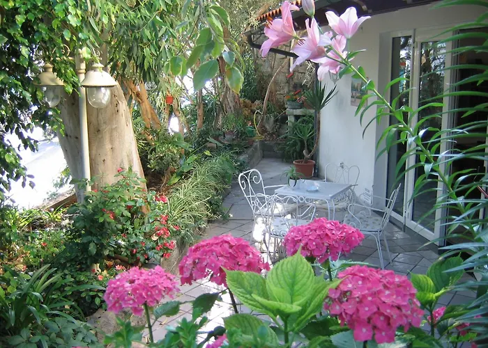 Hotel familiare: Hotel Europa