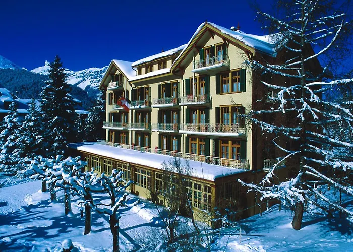 3 star hotel: Historic Hotel Falken