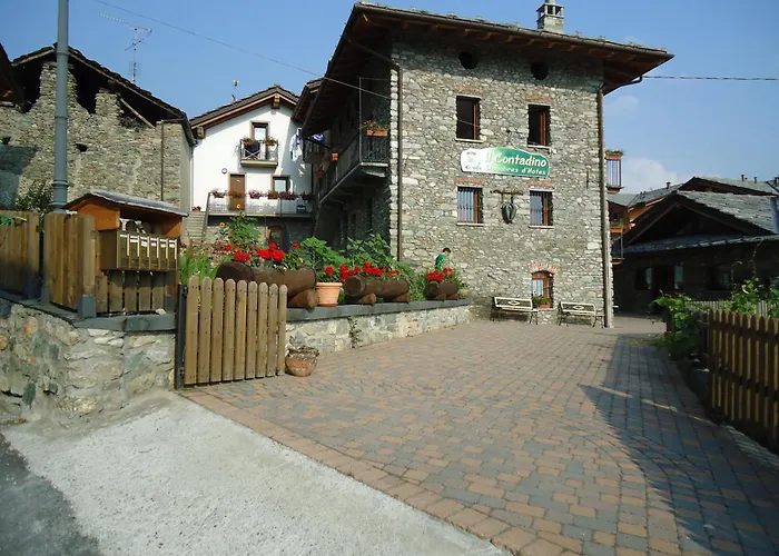 Il Contadino