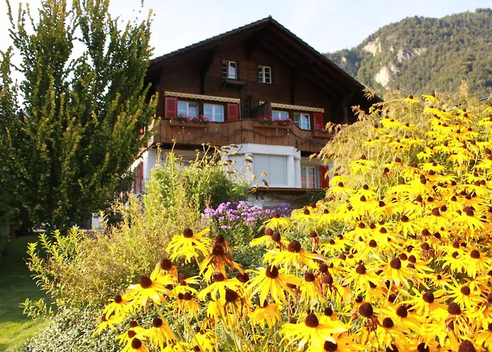 Hôtel de golf: Adventure Guesthouse Interlaken