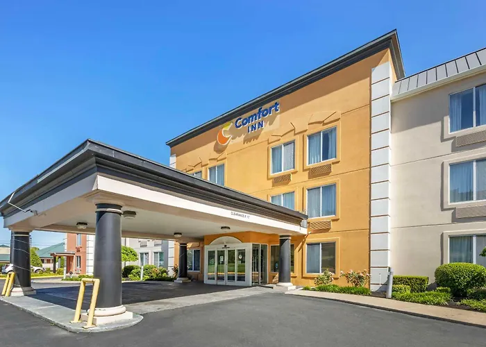 Motel: Comfort Inn Dickson