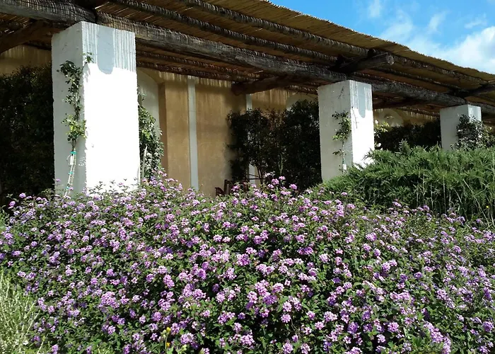 Hotel Spa: Masseria L'Antico Frantoio