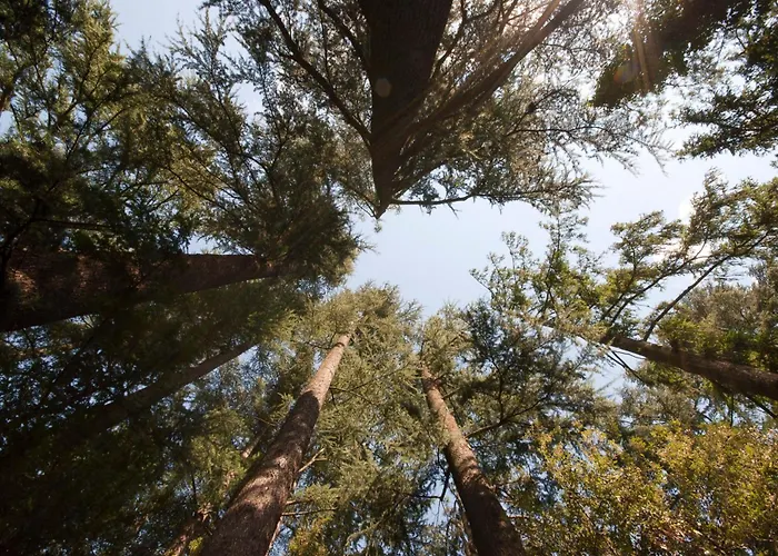 Casa degli ospiti: Schloss-Castel Pienzenau - Guestrooms & Apartments - B&B-Hotel & Restaurant