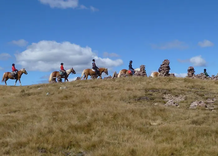 Hotel adatto agli animali: Reiterhof Edelweiss