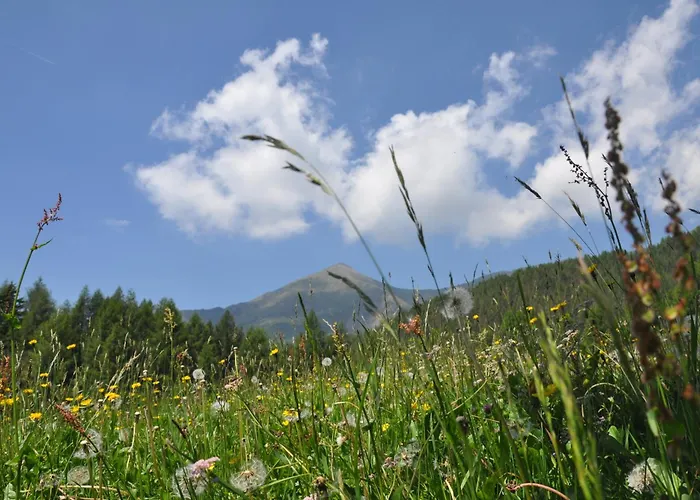 Hotel adatto agli animali: Rifugio Serot