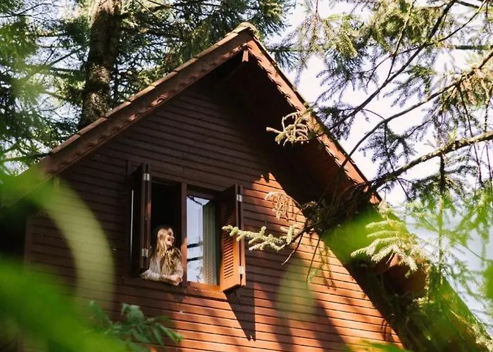 Hotel que aceita animais de estimação: Parador Hampel