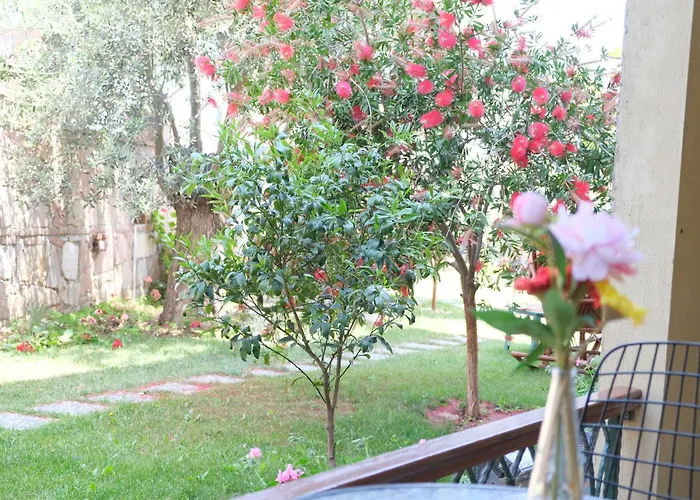 Hotel nahe College: Nilüfer Butik Otel