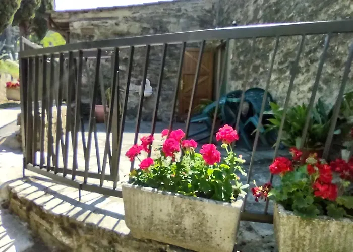 Fattoria Di Cintoia