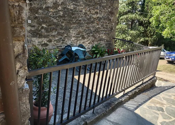 Fattoria Di Cintoia