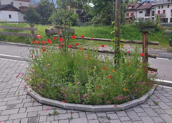 Hotel adatto agli animali: Schattseiterhof