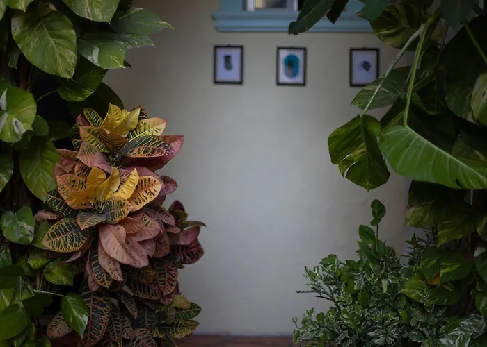 Family Hotel: Hotel Santa Ana