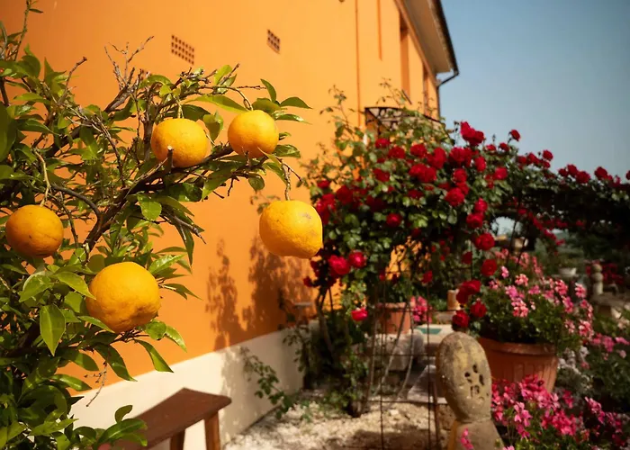 B&B Aesis La Dolce Collina