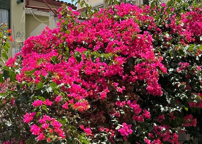Casa vacanza: Villa Carla, A Charming Villa In The Center Of Taormina