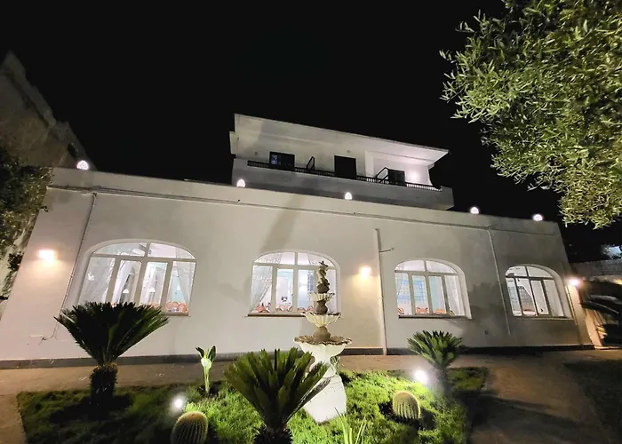 Hotel adatto agli animali: Hotel Park Victoria